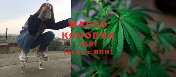 гидра Богородск