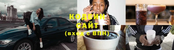 гидра Богородск