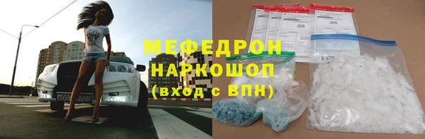гидра Богородск