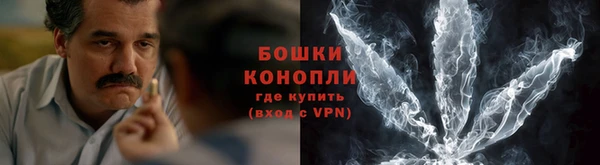 гидра Богородск