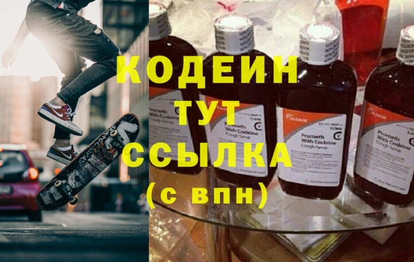 гидра Богородск
