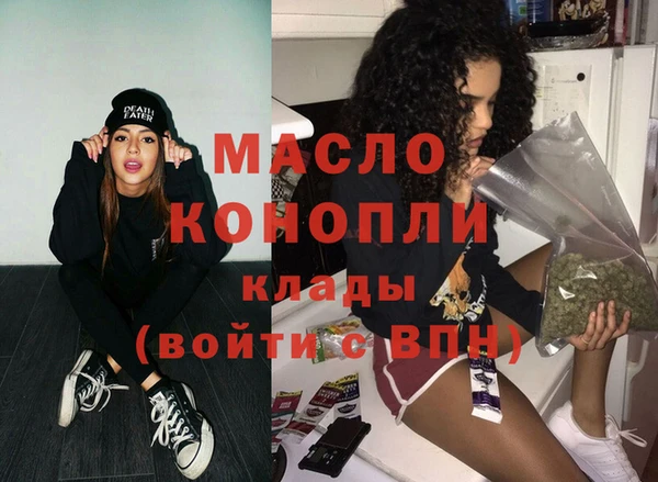 гидра Богородск