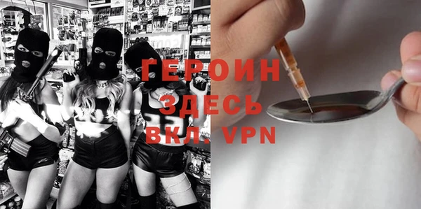 гидра Богородск
