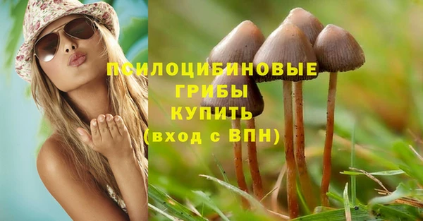 марихуана Богородицк